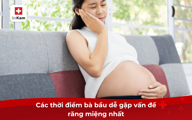 Hướng dẫn các bước chăm sóc răng miệng cho bà bầu an toàn 6 Các thời điểm bà bầu dễ gặp vấn đề răng miệng nhất