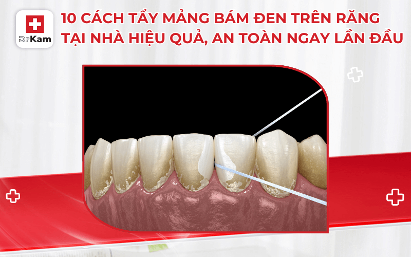 cach tay mang bam den tren rang tai nha
