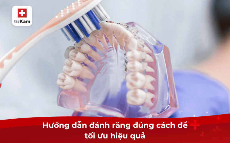 Hướng dẫn đánh răng đúng cách để tối ưu hiệu quả