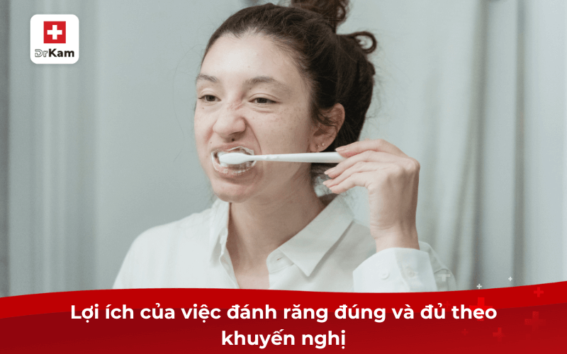 Lợi ích của việc đánh răng đúng và đủ theo khuyến nghị