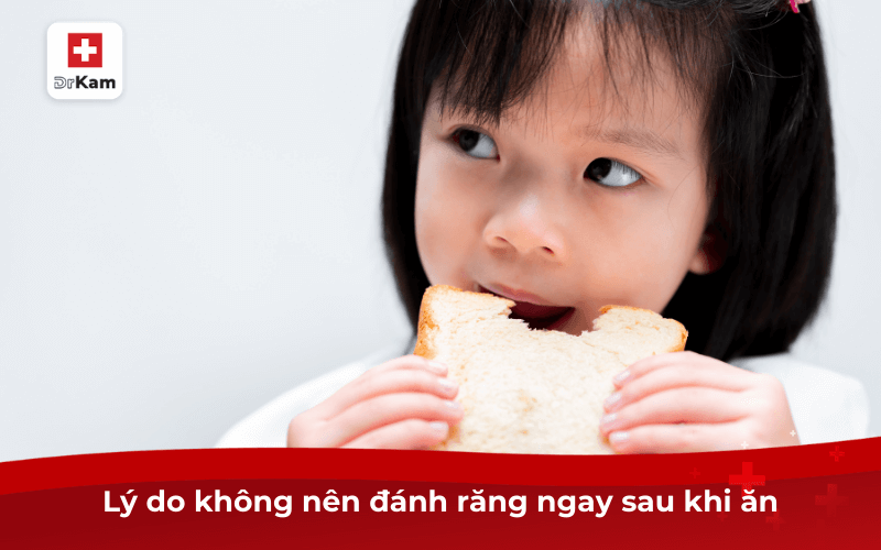 Lý do không nên đánh răng ngay sau khi ăn