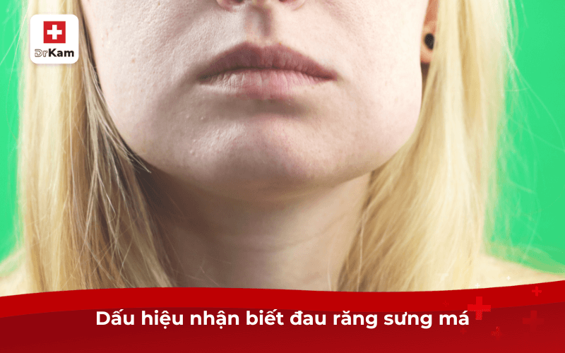 10 Cách làm giảm sưng má khi bị đau răng hiệu quả làm ngay 5 Dấu hiệu nhận biết đau răng sưng má