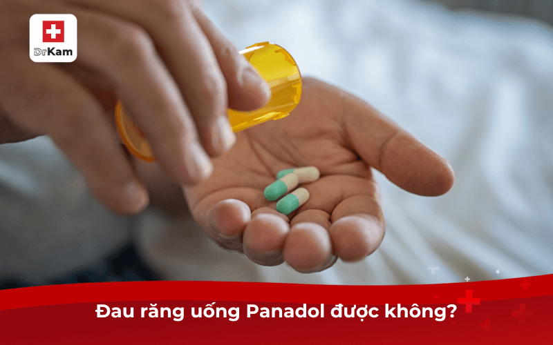 Đau răng uống Panadol được không?