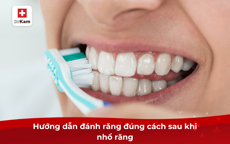 Hướng dẫn đánh răng đúng cách sau khi nhổ răng