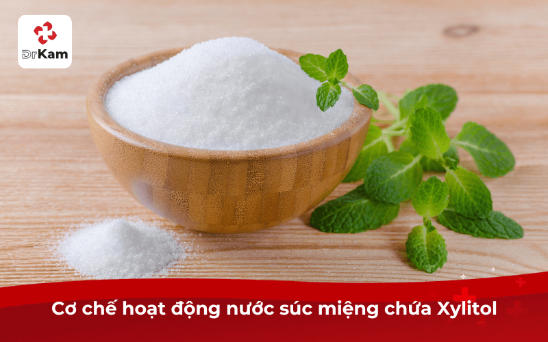 Nước súc miệng chứa Xylitol - Chống sâu răng, nướu khỏe mạnh phù hợp mọi người 4 Cơ chế hoạt động nước súc miệng chứa Xylitol