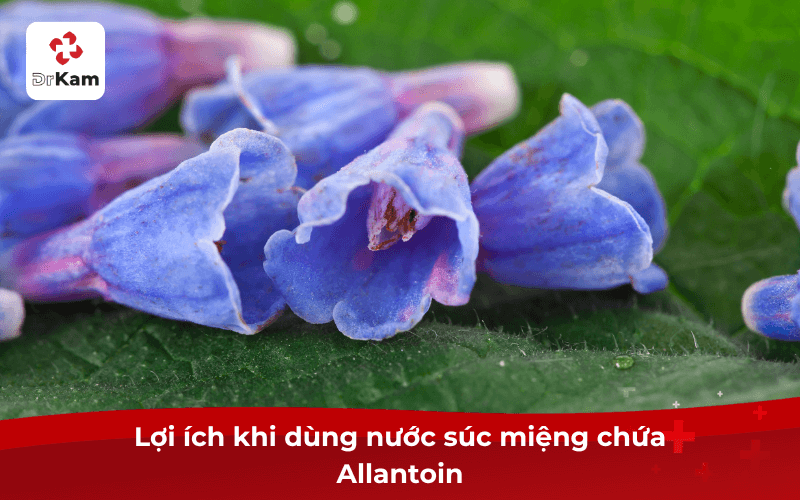 Nước súc miệng chứa Allantoin giảm viêm, giảm khô miệng hiệu quả 3 Lợi ích khi dùng nước súc miệng chứa Allantoin