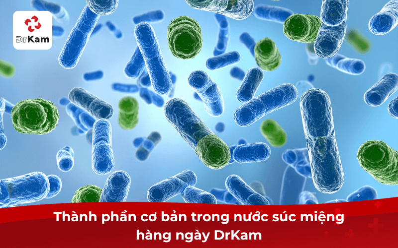 Thành phần nước súc miệng DrKam
