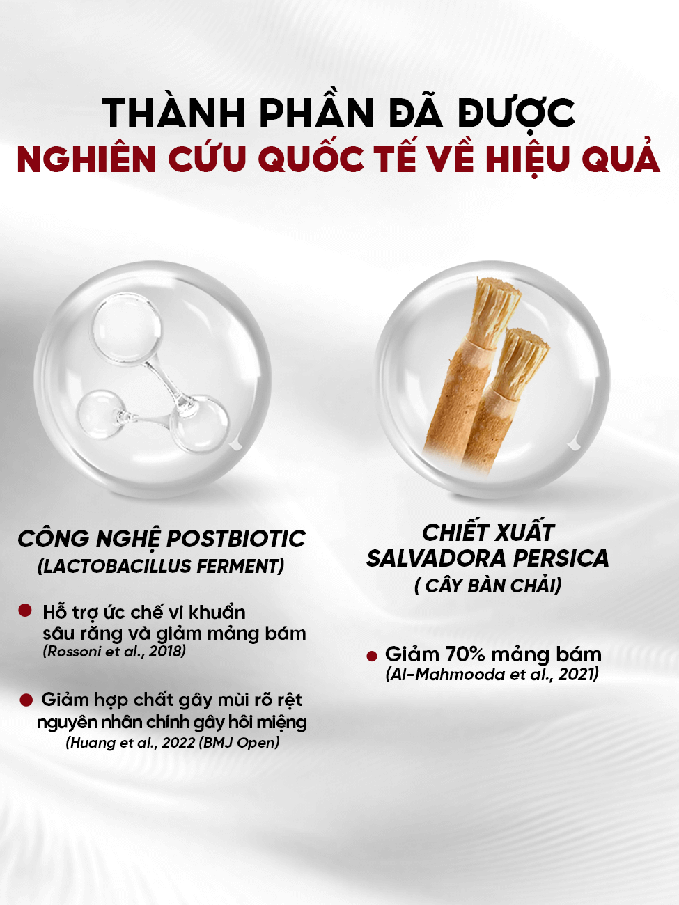 Combo 3 nước súc miệng DrKam Postbiotic 450ml 7 Combo 3 nước súc miệng DrKam Postbiotic 450ml - Ảnh 7