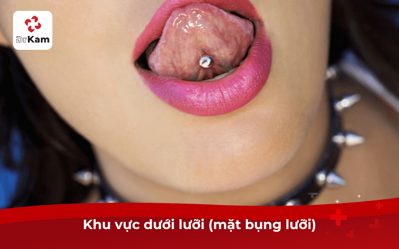 Khu vực dưới lưỡi (mặt bụng lưỡi)