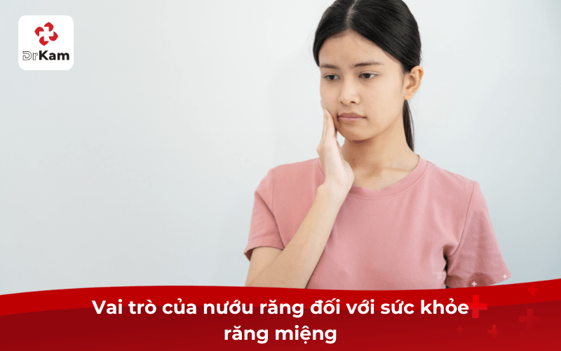 Nướu răng là gì? Cấu tạo, Vai trò, bệnh lý và cách bảo vệ nướu khỏe mạnh 4 Vai trò của nướu răng đối với sức khỏe răng miệng