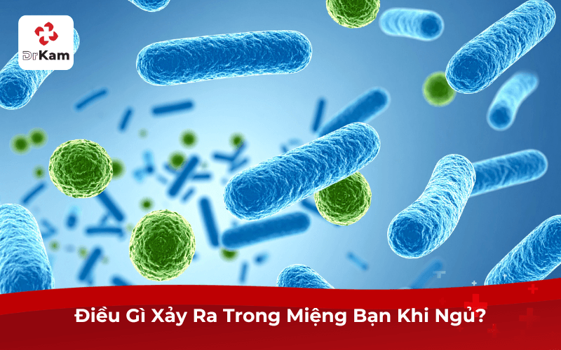 Tại sao đánh răng trước khi đi ngủ?