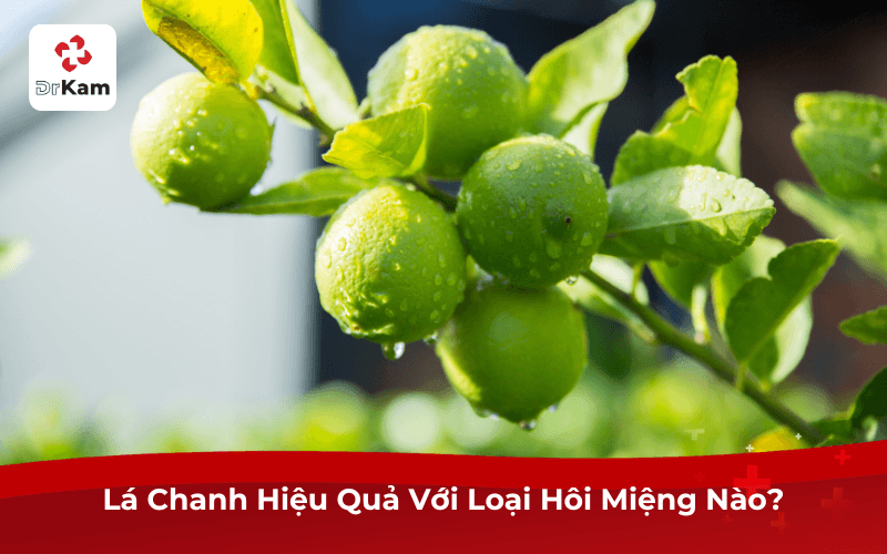 Lá Chanh Hiệu Quả Với Loại Hôi Miệng Nào?