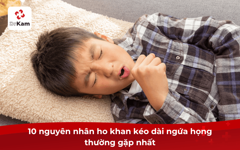 10 nguyên nhân ho khan kéo dài ngứa họng thường gặp nhất