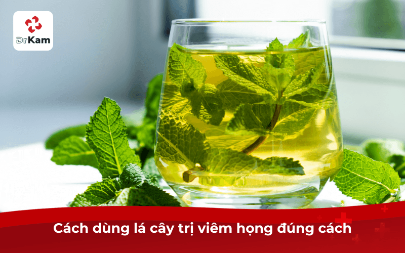 Cách dùng lá cây trị viêm họng đúng cách
