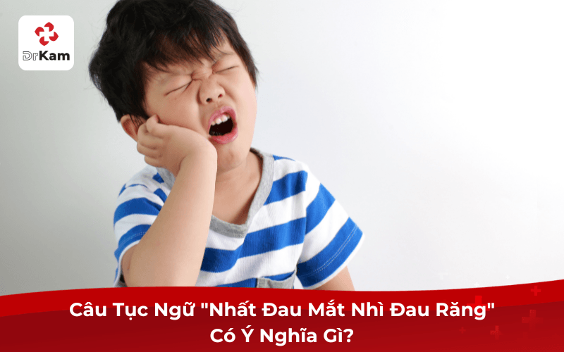 Nhất Đau Mắt Nhì Đau Răng: Tại Sao Đau Răng Kinh Khủng Vậy? 4 Câu Tục Ngữ "Nhất Đau Mắt Nhì Đau Răng" Có Ý Nghĩa Gì?
