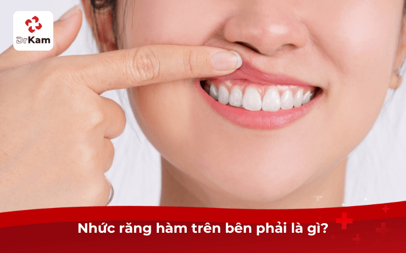 Nhức răng hàm trên bên phải là gì?