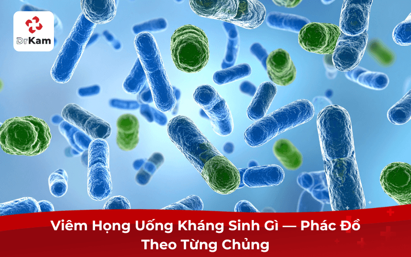 Viêm Họng Uống Kháng Sinh Gì — Phác Đồ Theo Từng Chủng