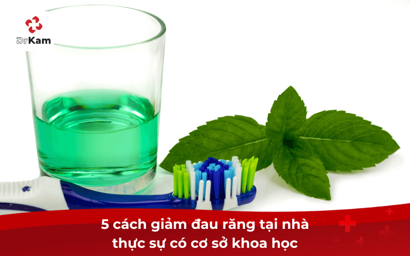 5 cách giảm đau răng tại nhà thực sự có cơ sở khoa học