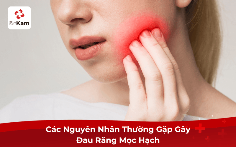 Các Nguyên Nhân Thường Gặp Gây Đau Răng Mọc Hạch