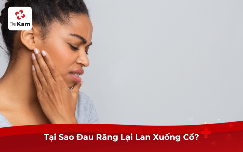 Tại Sao Đau Răng Lại Lan Xuống Cổ?