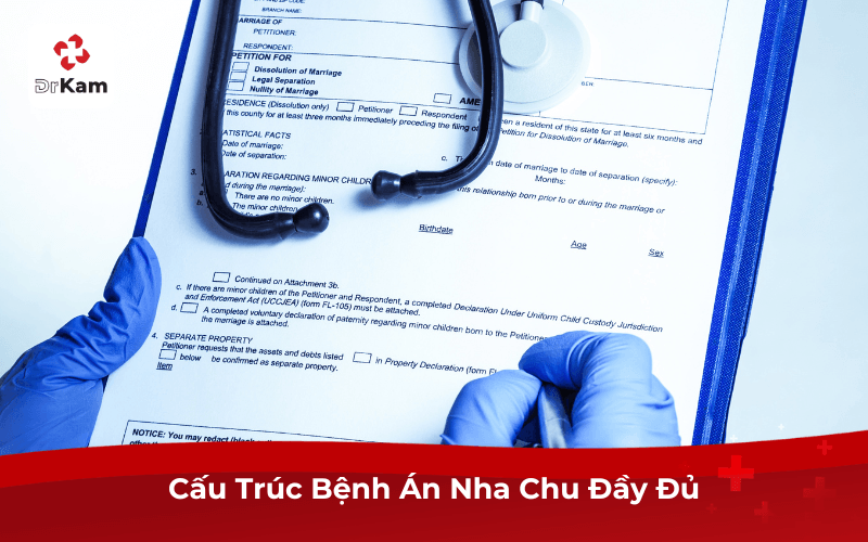 Cấu Trúc Bệnh Án Nha Chu Đầy Đủ