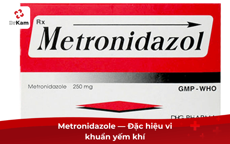 Metronidazole — Đặc hiệu vi khuẩn yếm khí