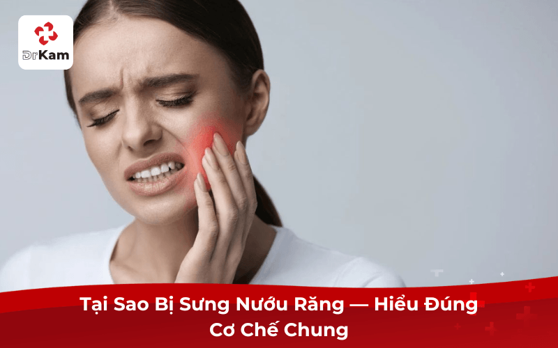 Tại Sao Nướu Răng Bị Sưng Lại Gây Đau?